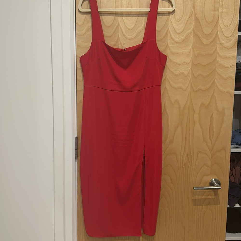 Aritzia Babaton Dress